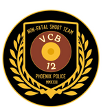 CHALLENGE COIN - NON-FATAL SHOOT TEAM /VIOLENT CRIMES BUREAU (VCB) **NEW**